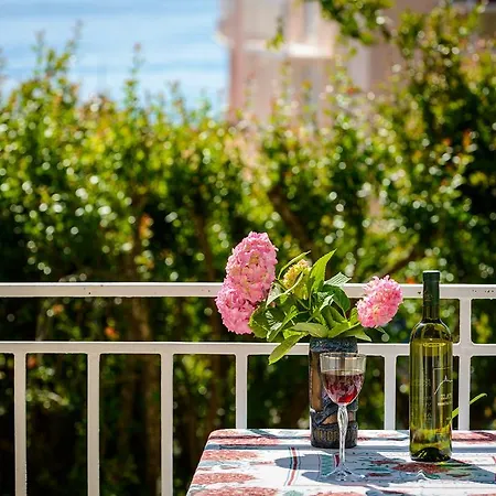 Fisherman's Galeb ツァヴタット