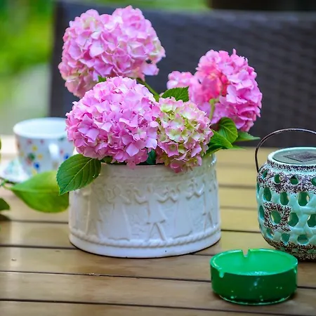 Гостевой дом Fisherman's Galeb 3*