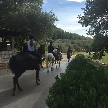 Pensjonat Fisherman's Galeb